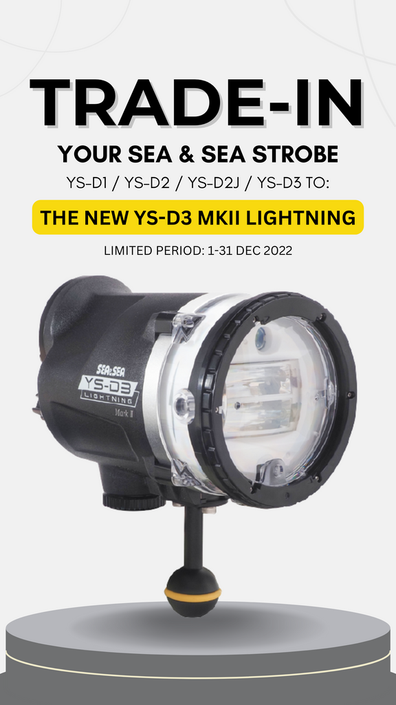 DIVESEA TRADE IN PROMO SEA & SEA YS-D3 MKII LIGHTNING