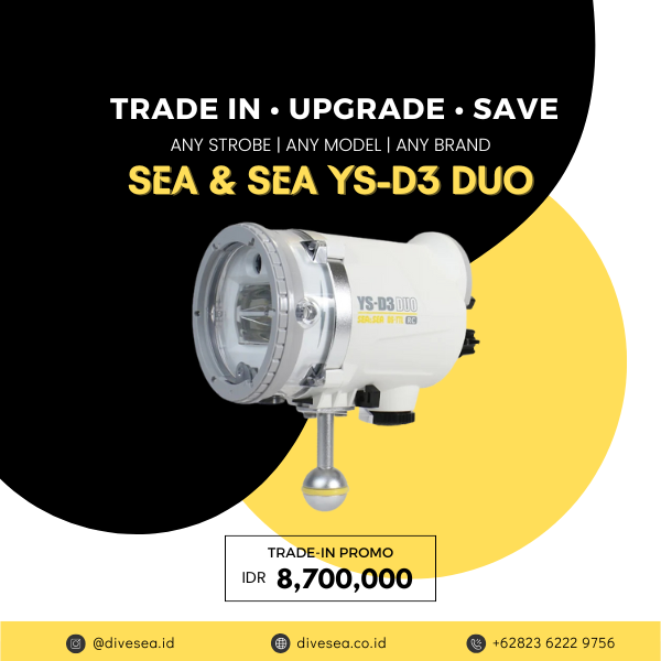 SEA & SEA YS-D3 DUO & TRADE IN • UPGRADE • SAVE