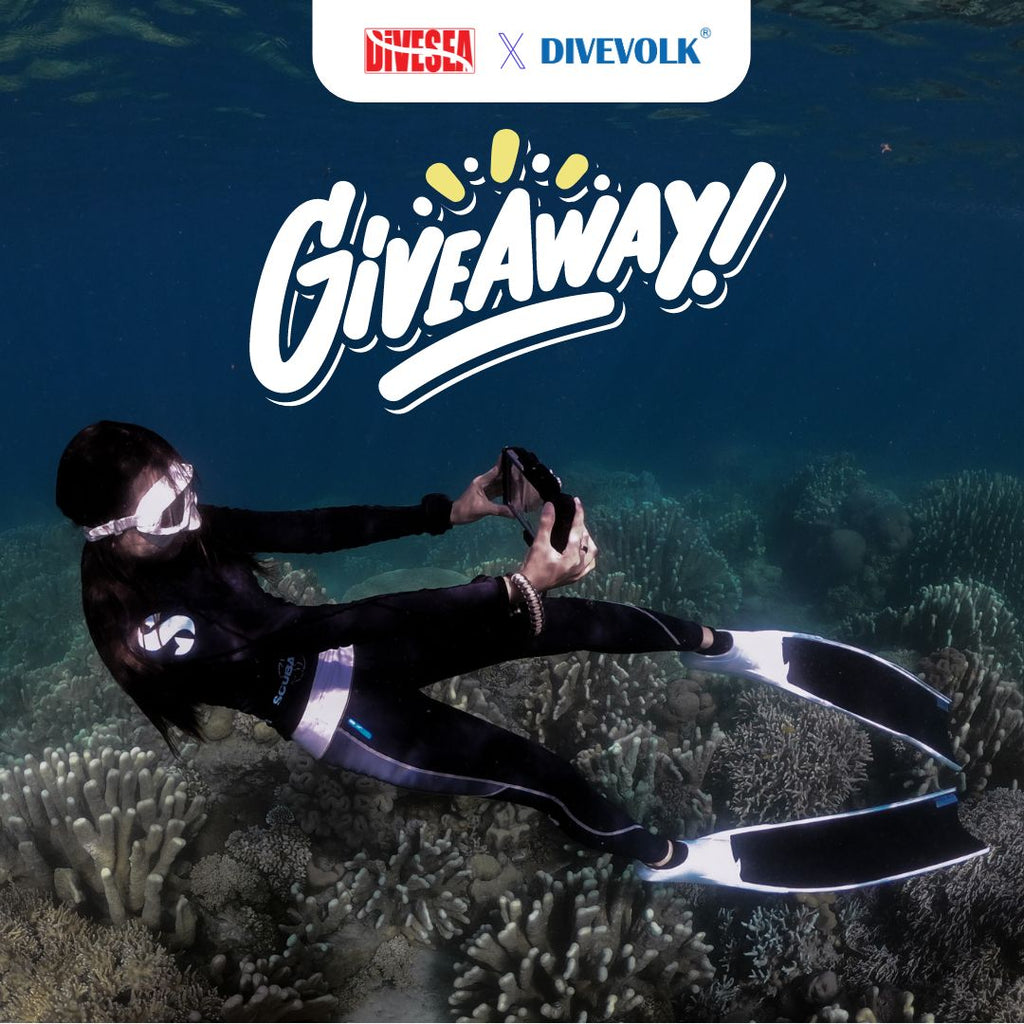 DIVEVOLK.ID X DIVEVOLK GIVEAWAY