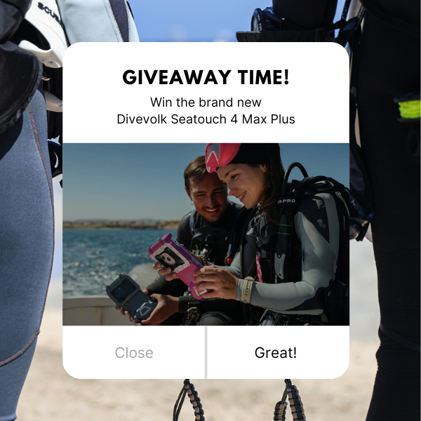 🎁 GIVEAWAY TIME 🎁 INSTAGRAM 🎁 DIVEVOLK.ID