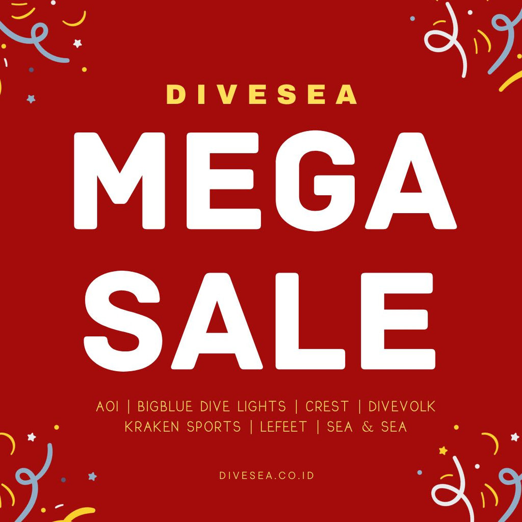 DIVESEA 12.12