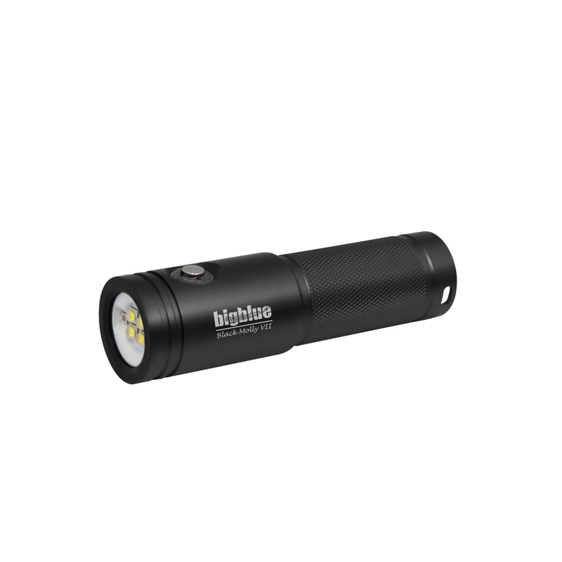 Bigblue AL2900XWP Black Molly VII 2900-Lumen Video Light