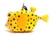 Oceanarium Boxfish octopus holder