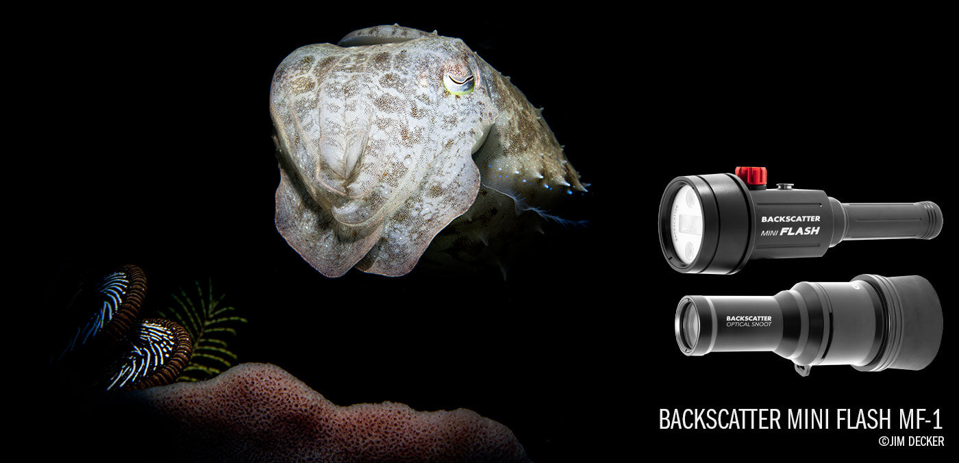 Backscatter Mini Flash 1 Underwater Strobe MF-1