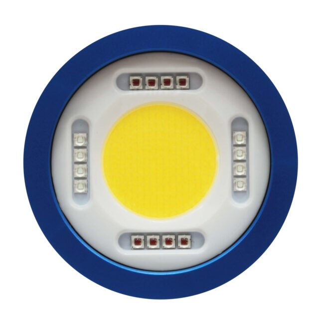 Bigblue CB15000PB-RC 15,000-Lumen Video Light – Remote Control Ready – Built-In Blue Light